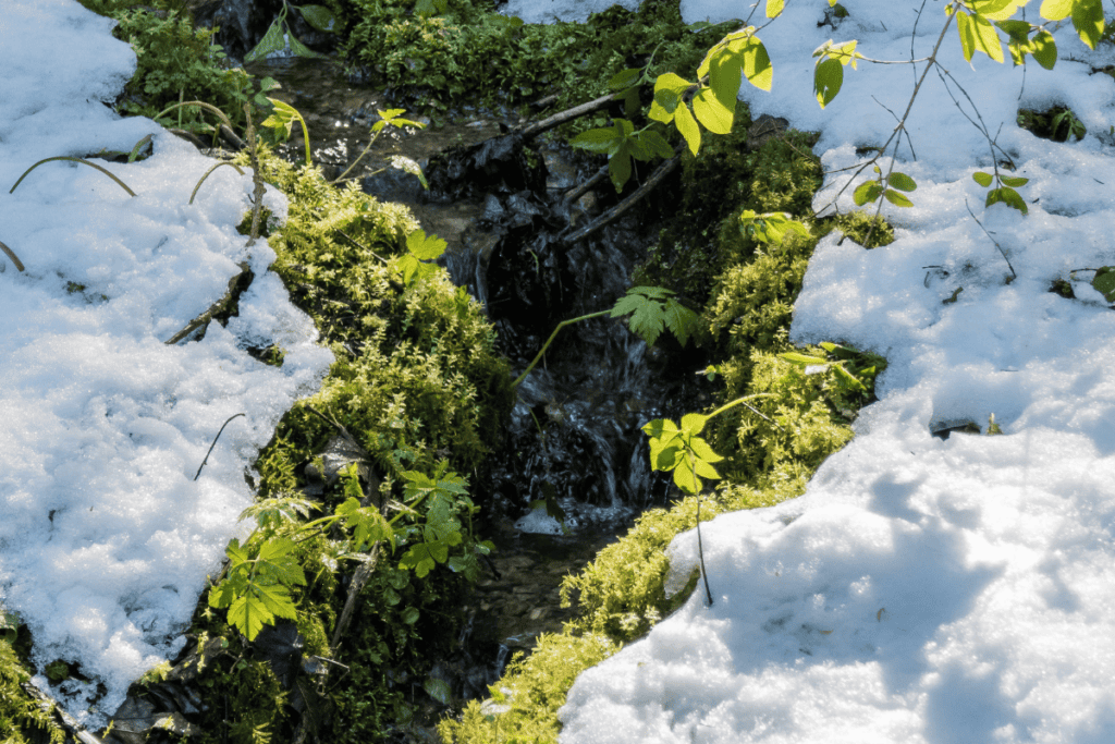 Beispielbild Entstehung von Schmelzwasser.